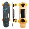 Small Electric Skateboard