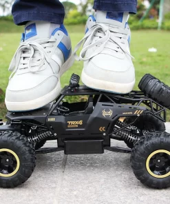 RC Monster Truck Durability Test