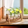 Glass Planter Bulb with Wooden Stand.