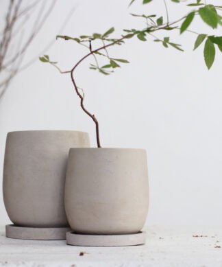 Round Cement Flower Pot